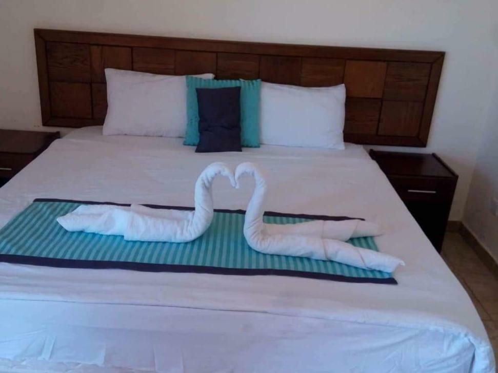 Almarsa Village Resort Aqaba Ruang foto